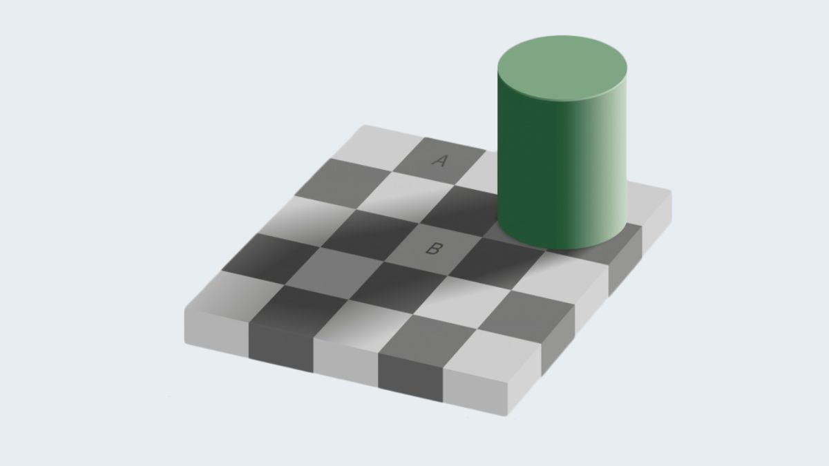 Checker Box Optical Illusion